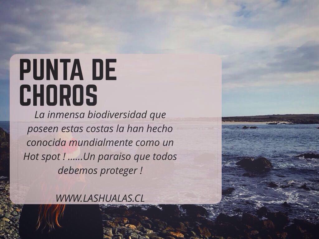 Las Hualas Punta de Choros Ngoại thất bức ảnh