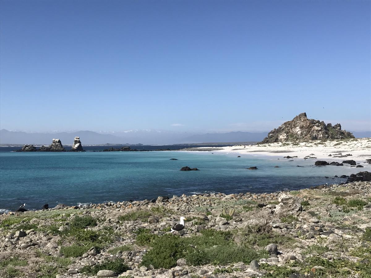 Las Hualas Punta de Choros Ngoại thất bức ảnh